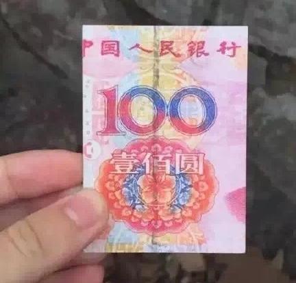 森渡 森渡